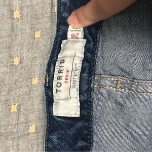 Torrid Skinny Jeans in Blue